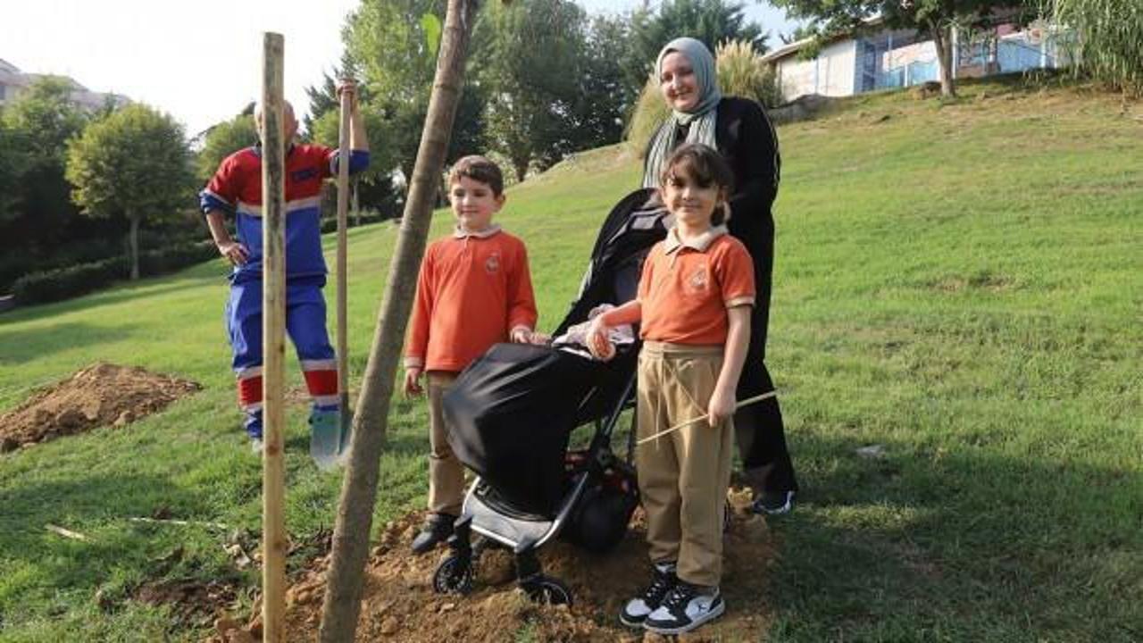 Her bebek bir ağaçla büyüyor: Kağıthane'de yeşil gelecek