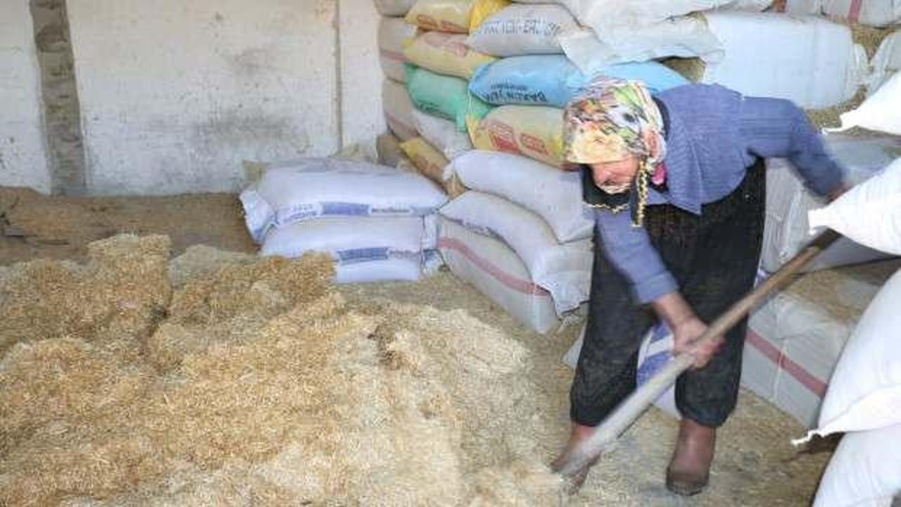 79 yaşındaki Dilber ninenin maşallah dedirten yaşam öyküsü