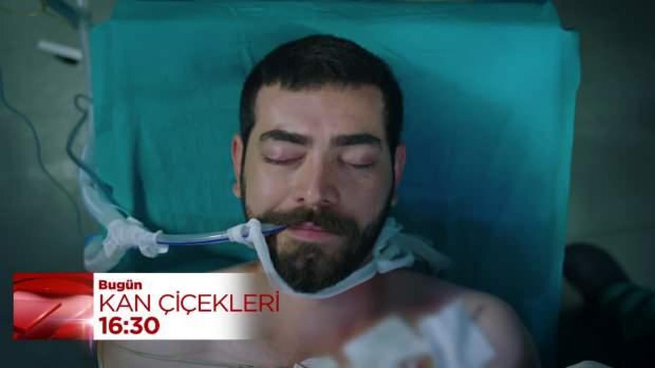 Kan Çiçekleri 385.bölüm fragmanı: Baran yaşayacak mı? Dilan gözyaşlarına hakim olamıyor!
