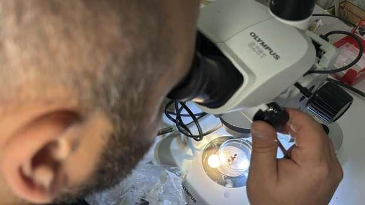 &Ccedil;ift&ccedil;iler ve kamp&ccedil;ılar aman dikkat! Ya canınızdan ya da malınızdan olabilirsiniz