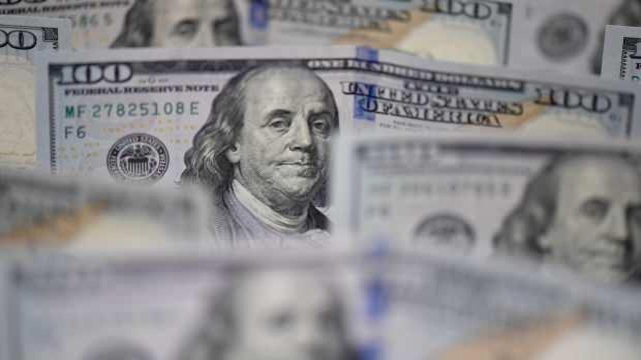 Dolar endeksi iki yılın zirvesinde