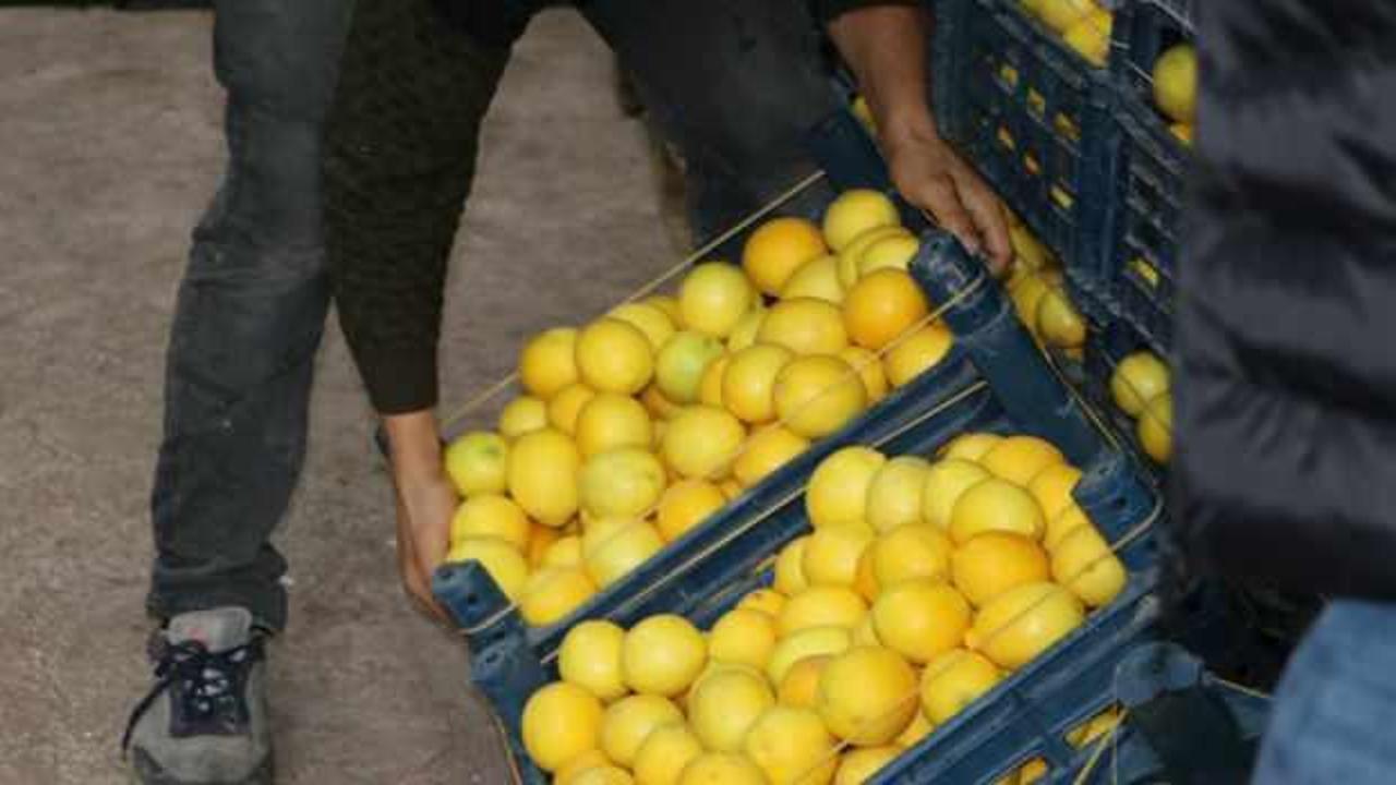 Limonda marketlerdeki fiyatlar 30 lirayı geçti!