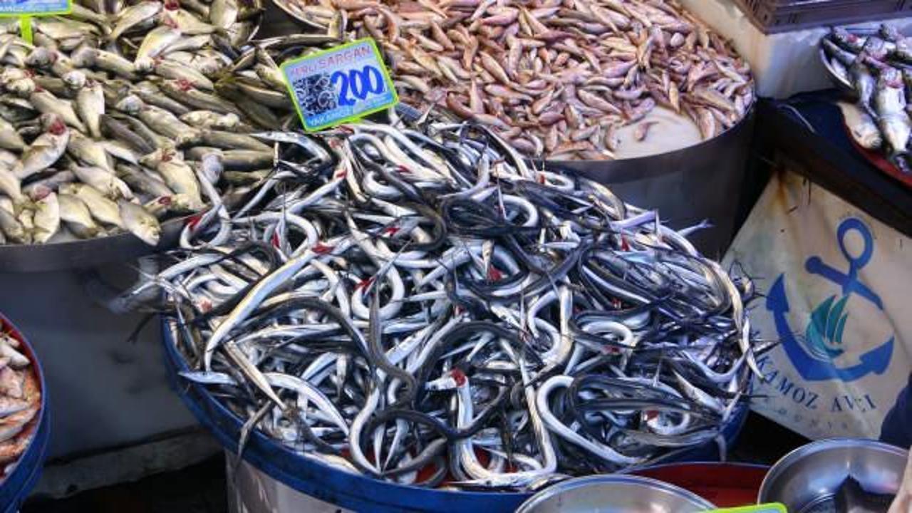 Hamsi fiyatları d&uuml;şt&uuml;, tezgahlar şenlendi