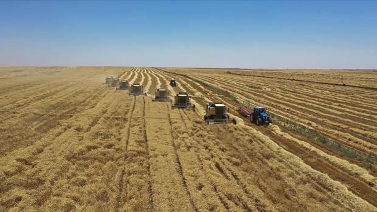 Kırsal kalkınma desteğindeki projelerde tamamlanma s&uuml;resi uzatıldı