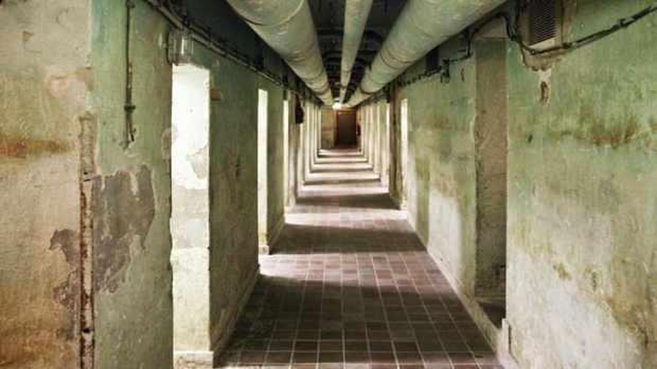 Rusya ile Ukrayna'nın gerilimi Almanya'yı tedirgin etti
