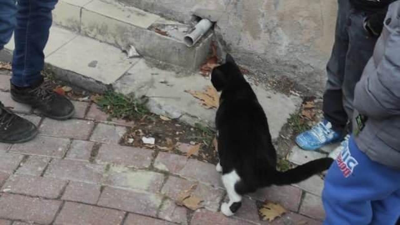 Bilecik’te iç ısıtan manzara! Yavrusunu kurtarılına kadar bekledi
