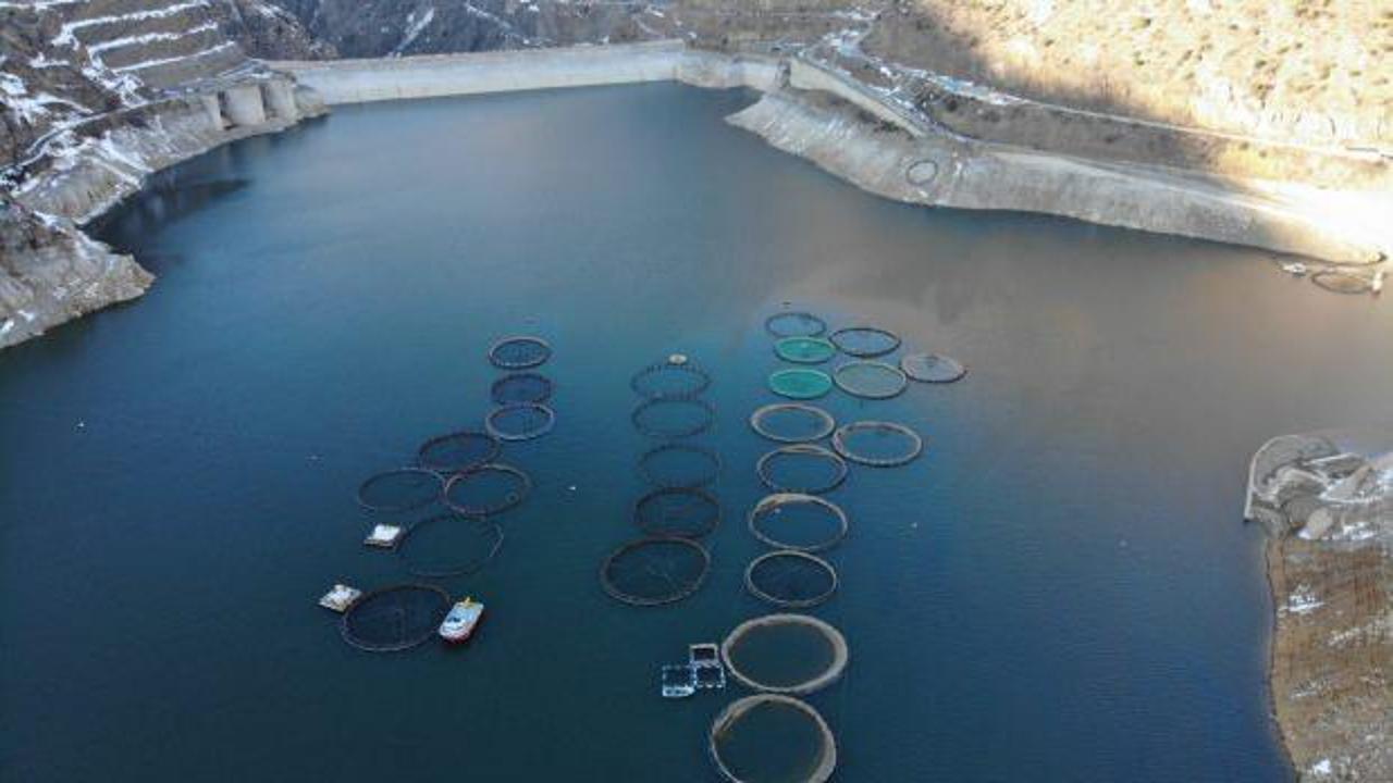 Denizi yok ama d&uuml;nyaya balık ihra&ccedil; ediyor!