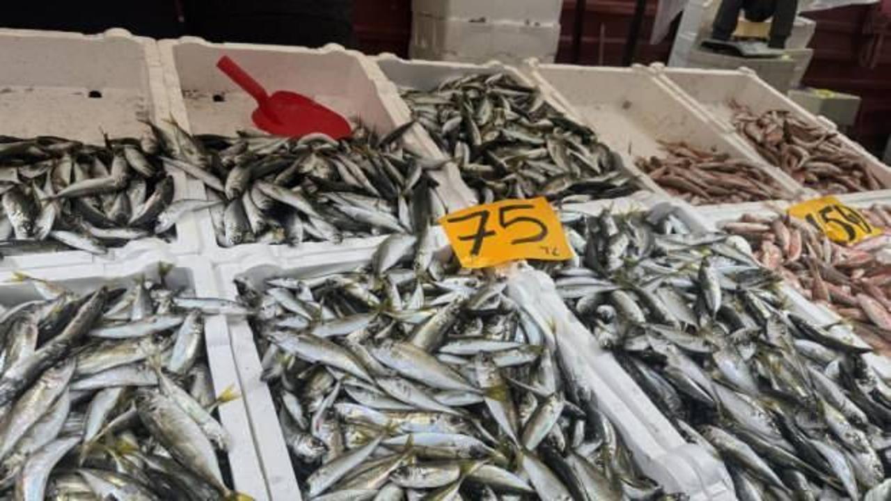 Kilosu 75 liradan satılan istavrite rağbet!