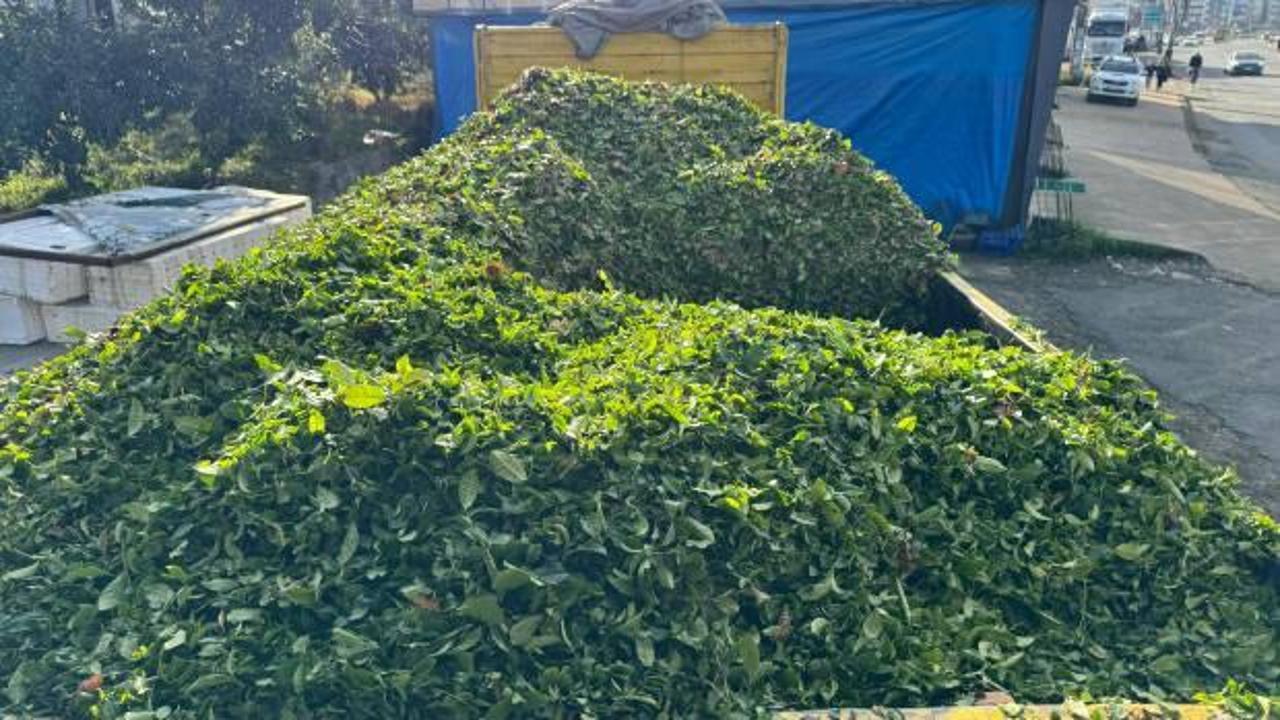 Kış geldi, &ccedil;ay sezonu bitmedi!