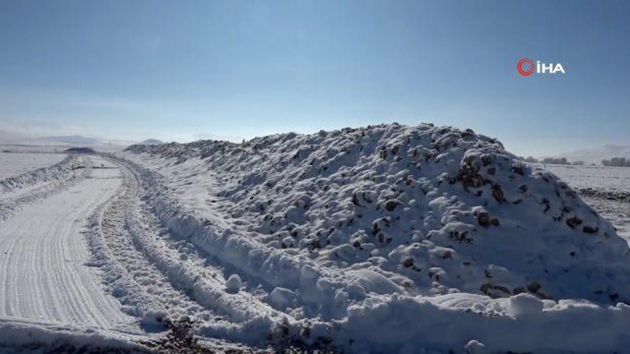 Sivas'ta şeker pancarı &uuml;reticileri zor durumda: 60 bin ton pancar kar altında kaldı!