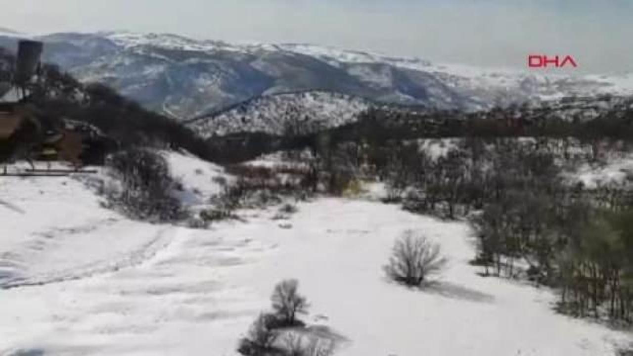 Ter&ouml;re b&uuml;y&uuml;k darbe vuruldu! Y&uuml;zlercesi imha edildi