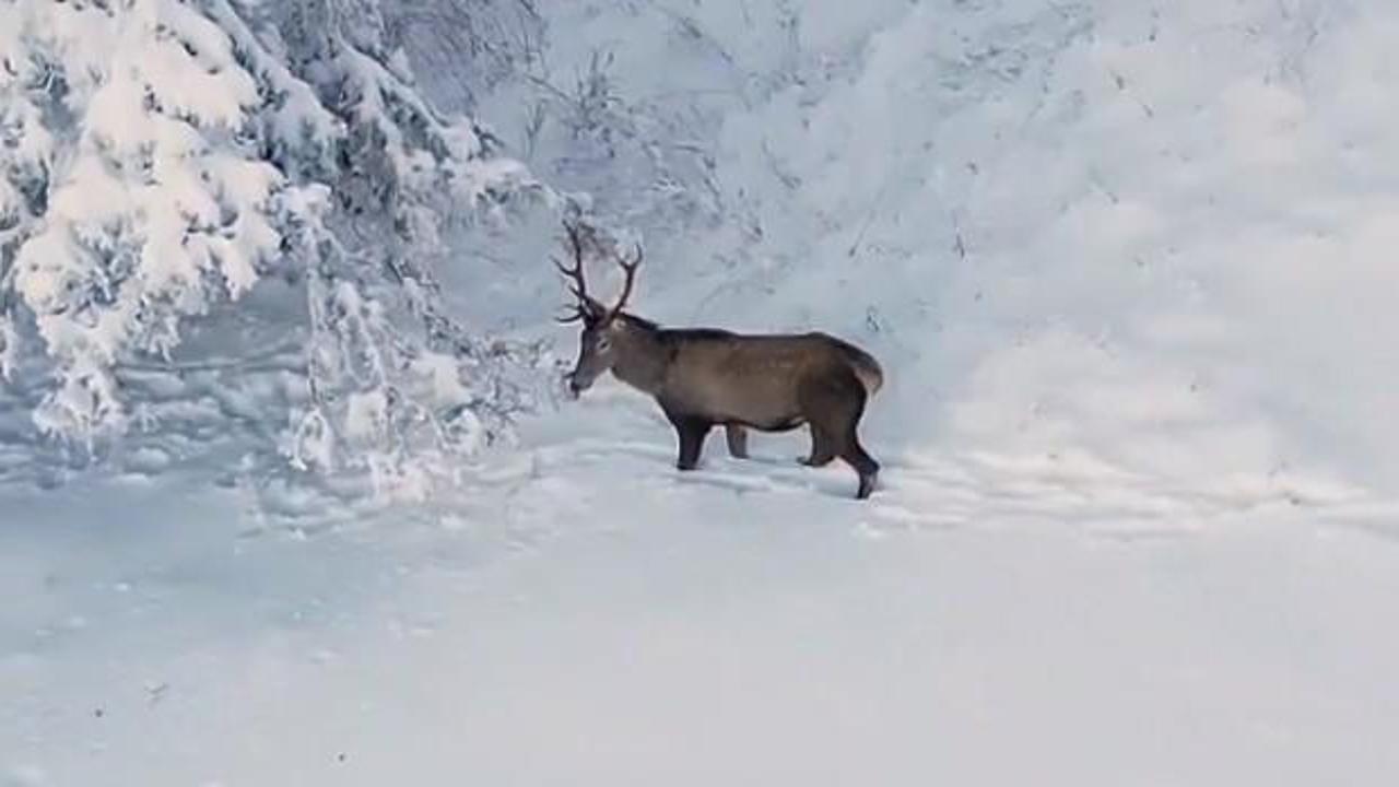 Bakan Yumaklı'dan 'kar g&uuml;zeli' paylaşımı
