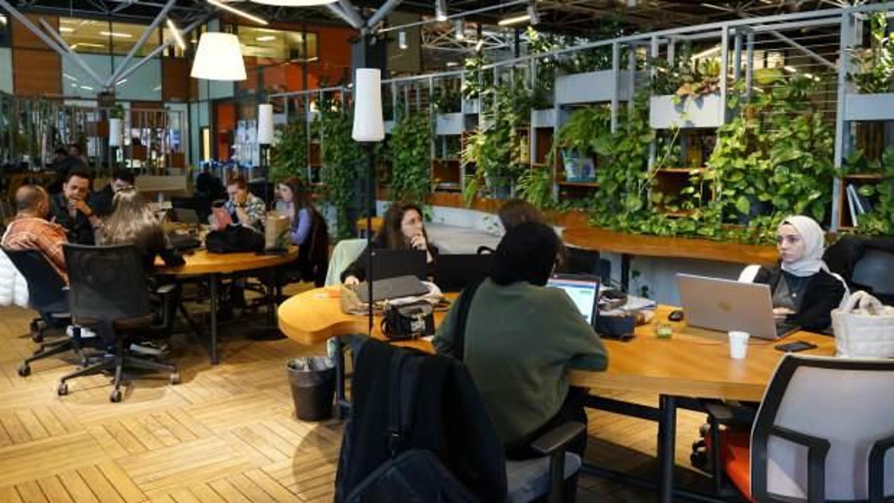 BTM yeni yılın ilk çağrı dönemine çıktı