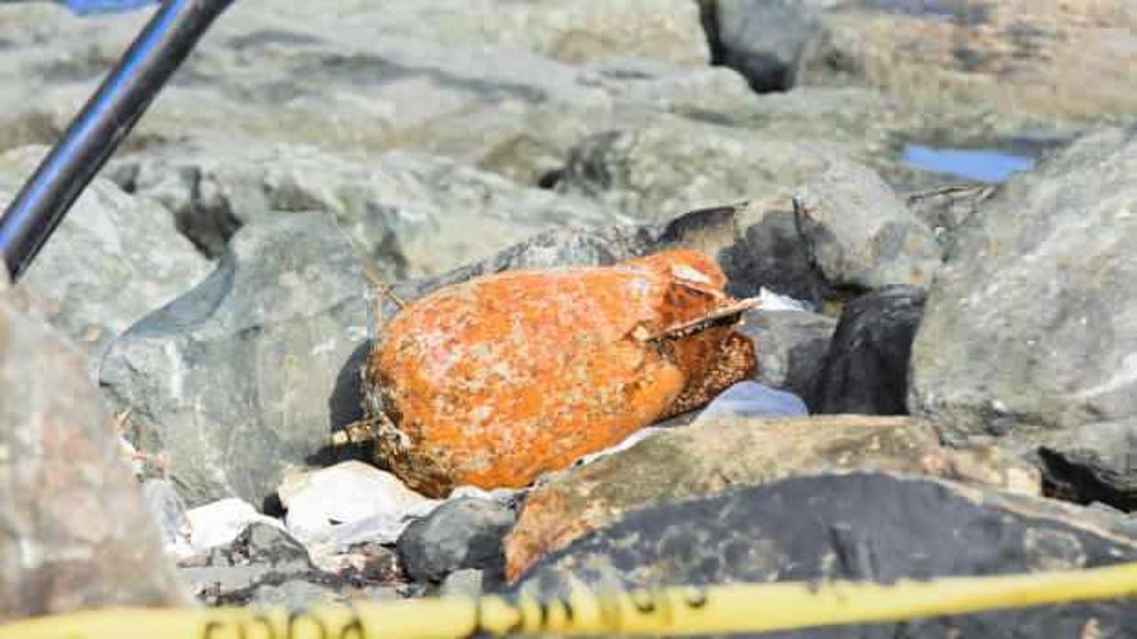 Dev dalgalarla s&uuml;r&uuml;klendi! Rize'de polisi alarma ge&ccedil;iren esrarengiz cisim