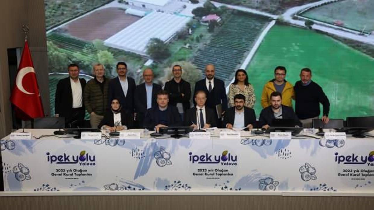İpek Yolu ilk yılında kâra geçtiğini duyurdu