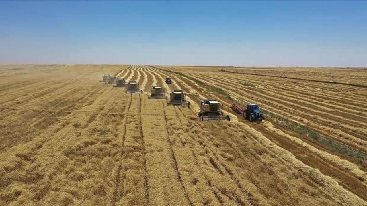 &Uuml;retim planlamasının 2025'te hububat &uuml;retimini olumlu etkilemesi bekleniyor