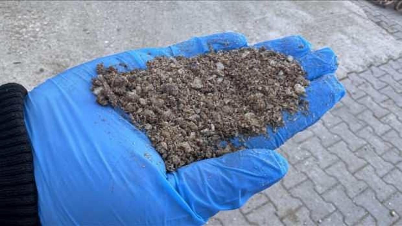 B&uuml;y&uuml;kbaş hayvan kemiğinden tavuk yemi i&ccedil;in ham madde &uuml;retiliyor