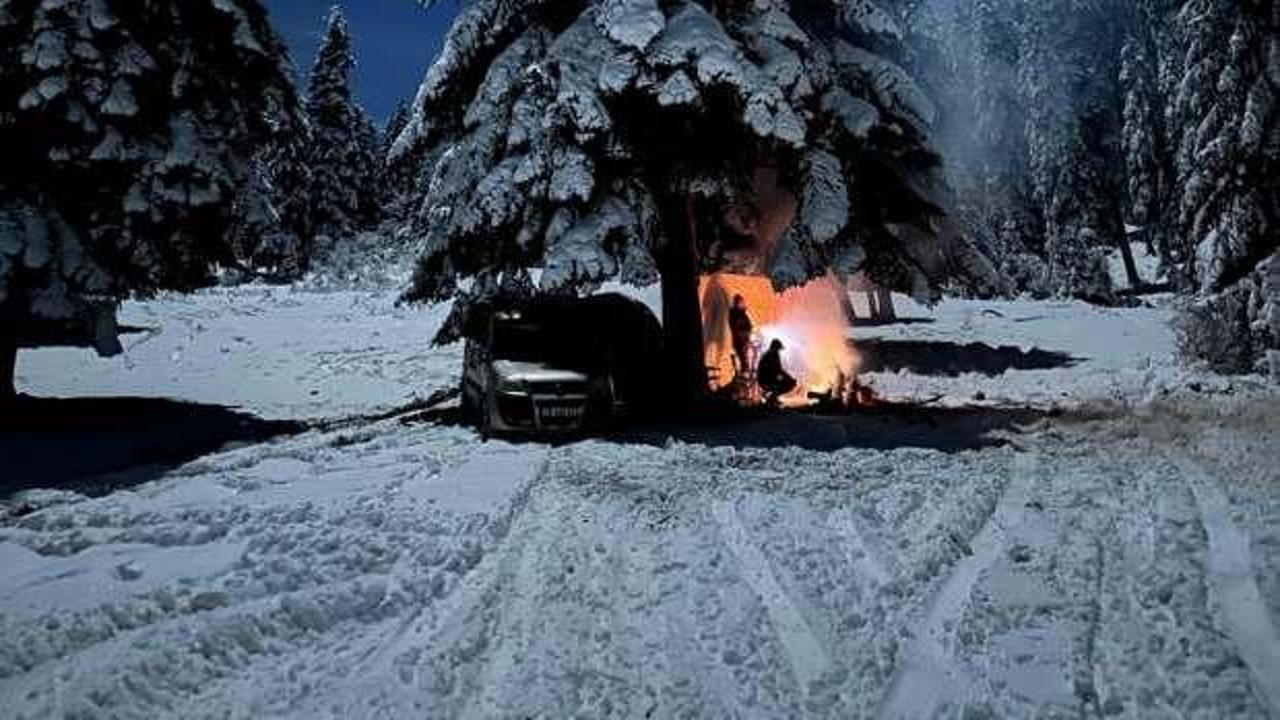 Karab&uuml;k'te kamp&ccedil;ılara tilki s&uuml;rprizi