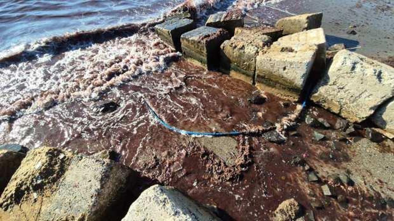 Marmara'da endişelendiren g&ouml;r&uuml;nt&uuml;: Kızıl yosun akıntısı s&uuml;r&uuml;yor