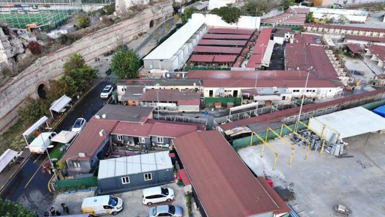 Yedikule Hayvan Barınağı'nda birinci etap tamamlandı 