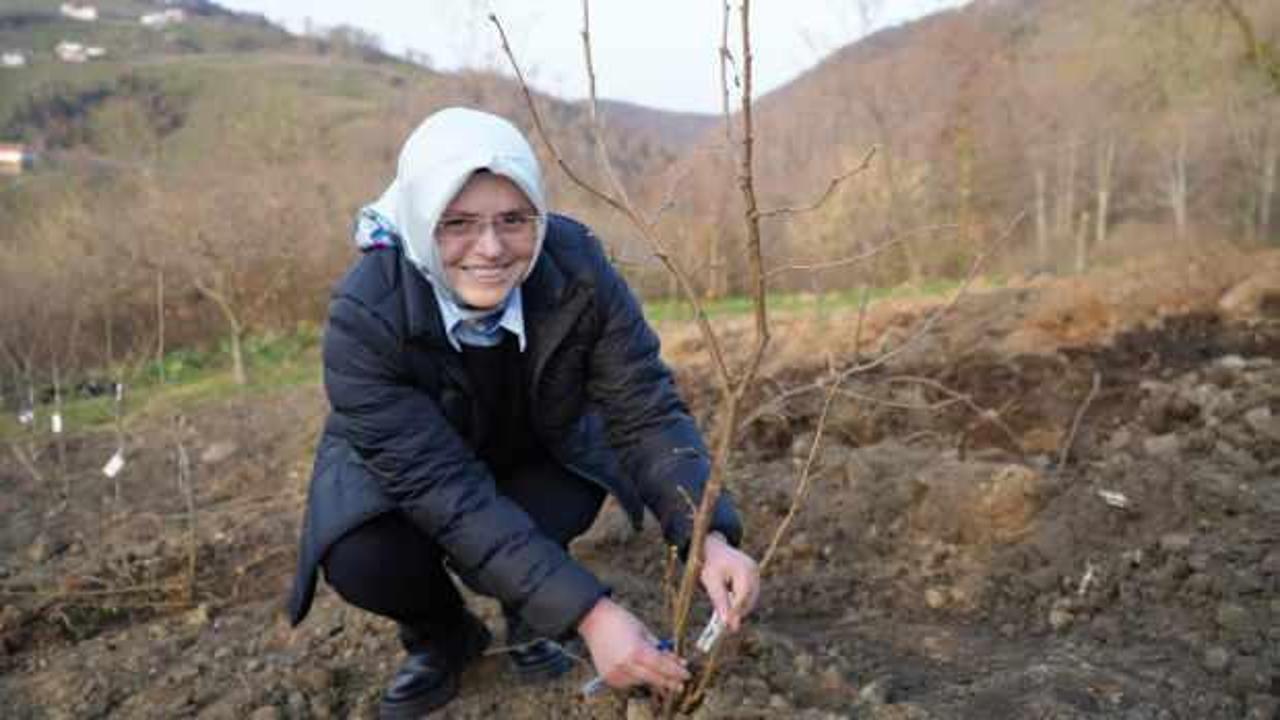 Fındık üreticilerini sevindiren haber! En büyük dertleri tarih oluyor 