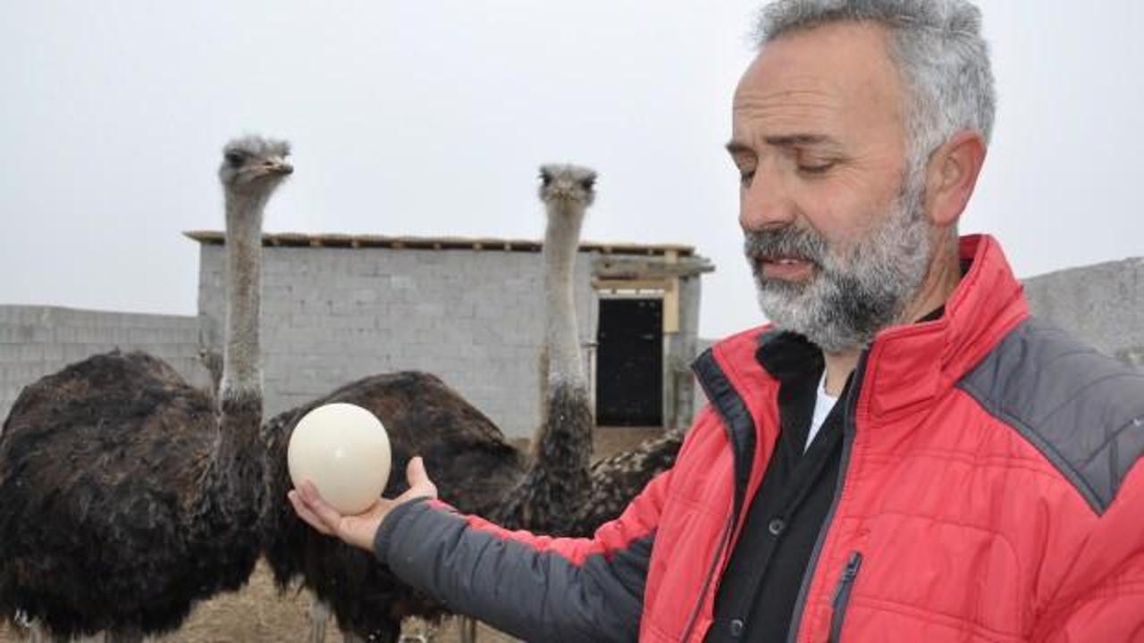 Afrika'nın yerlileri Kars'ta g&ouml;r&uuml;ld&uuml;: 22 yıllık hayali ger&ccedil;ek oldu! Bakan bir daha bakıyor