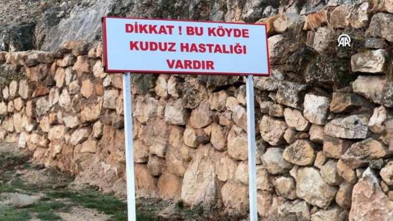 Bir köyde kuduz alarmı! Karantinaya alındı