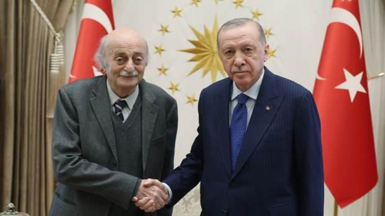 Cumhurbaşkanı Erdoğan, Velid Canbolat'ı kabul etti