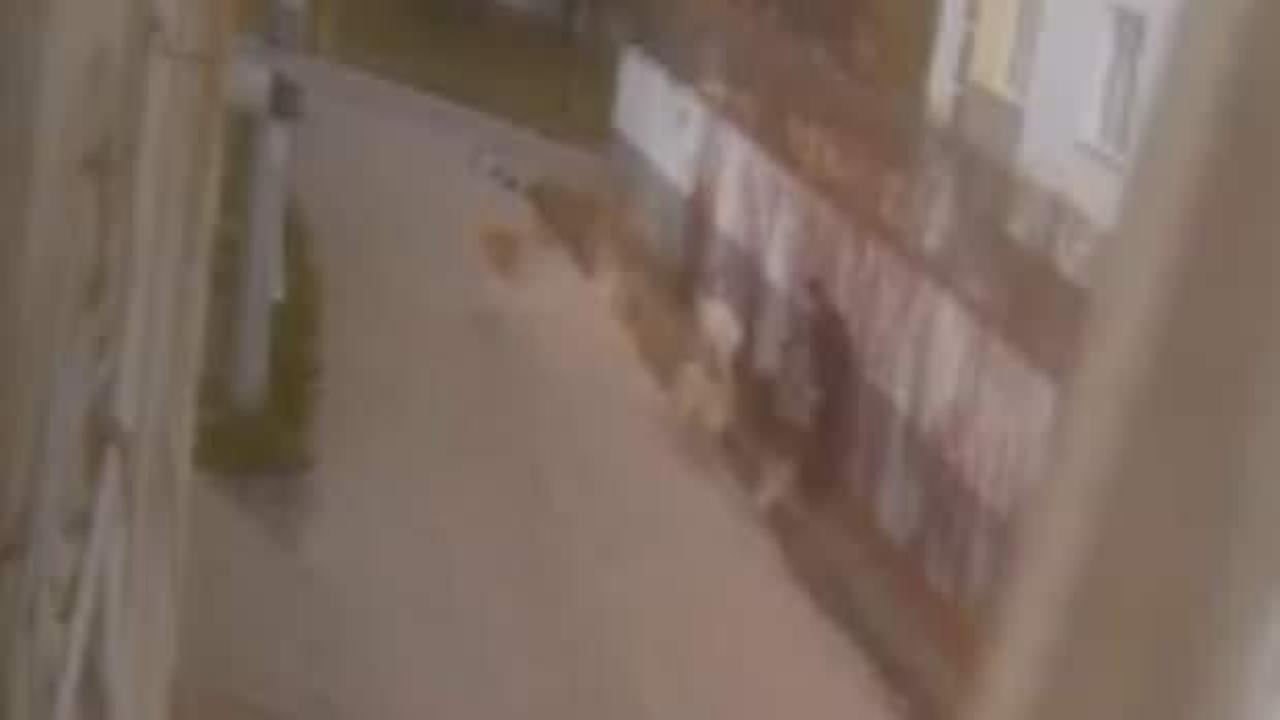 Eskişehir'de vatandaşın başıboş k&ouml;pek k&acirc;busu! S&uuml;r&uuml; halinde saldırdılar 