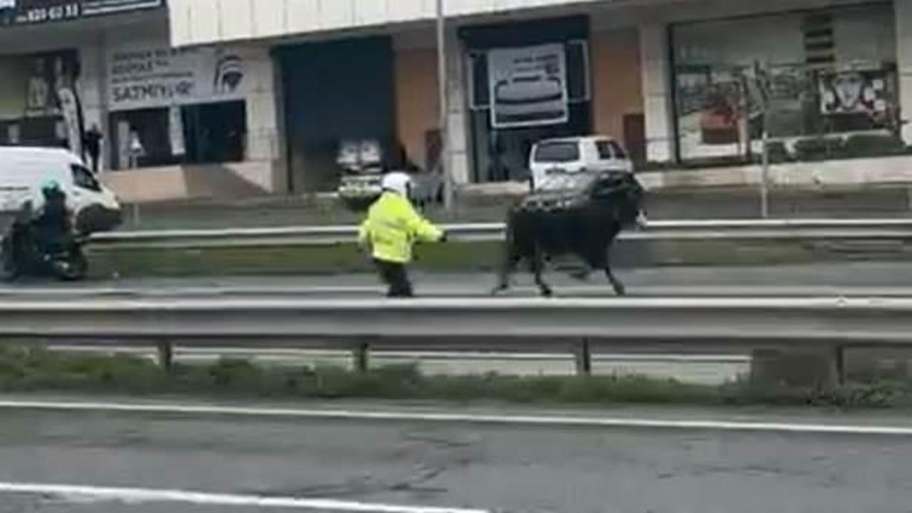 Görenler donup kaldı! E-5'te şaşkınlık veren görüntü!