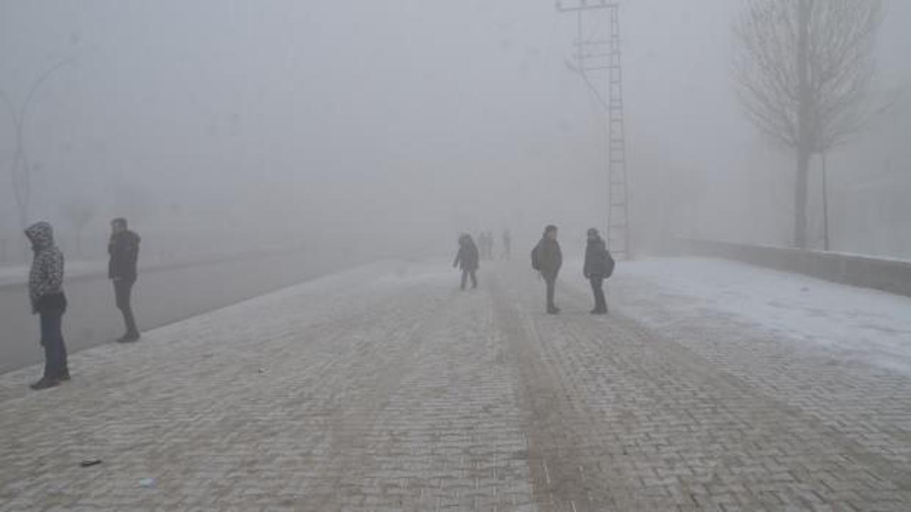 Hakkari'de soğuk hava ve yoğun sis hayatı olumsuz etkiledi