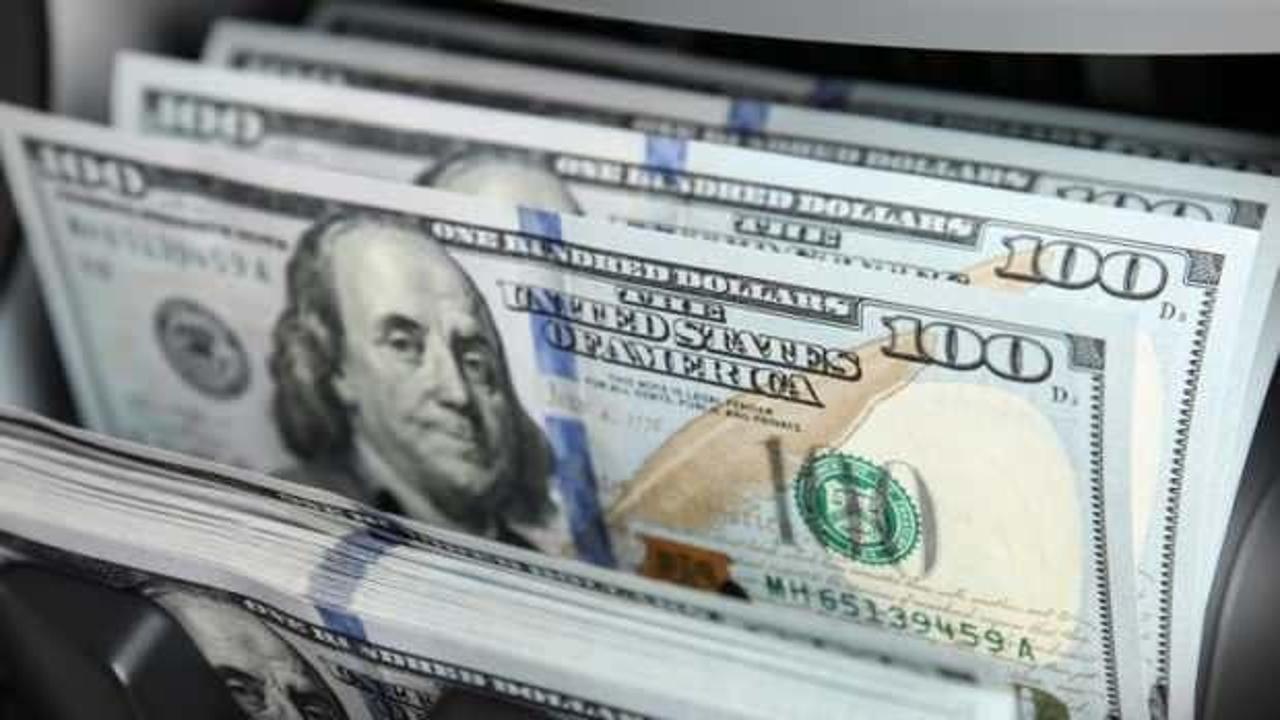 Merkez Bankası'nın rezervleri belli oldu