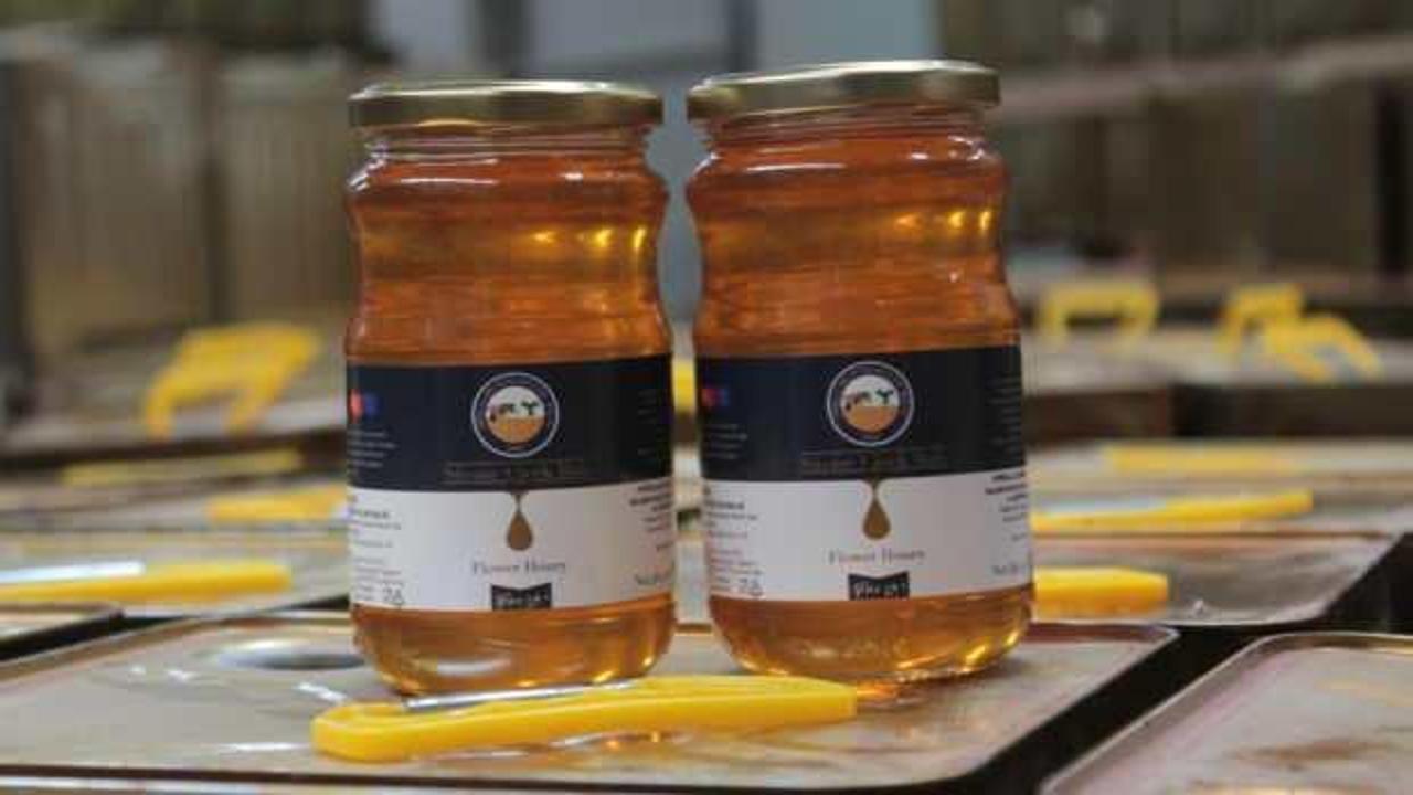 Ordu balı 55 &uuml;lkeye ihra&ccedil; ediliyor!