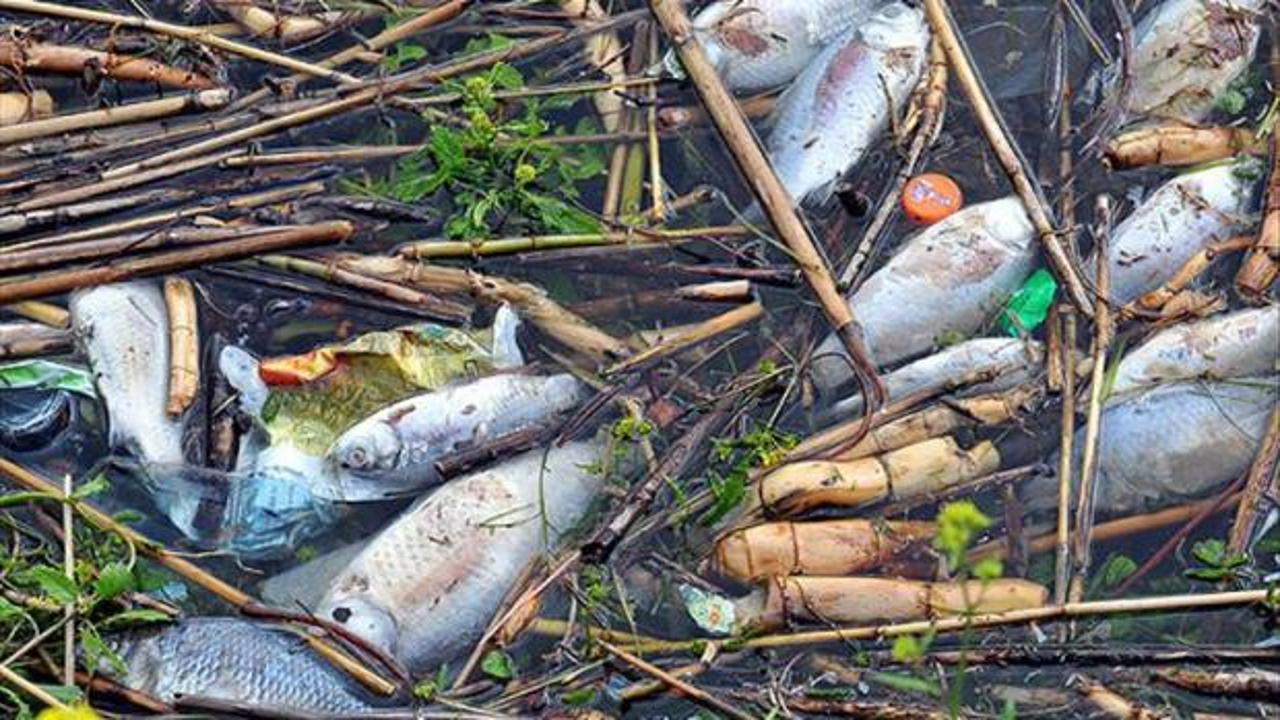 Çevreyi kirletenlere 2026'da verilecek cezalar belli oldu