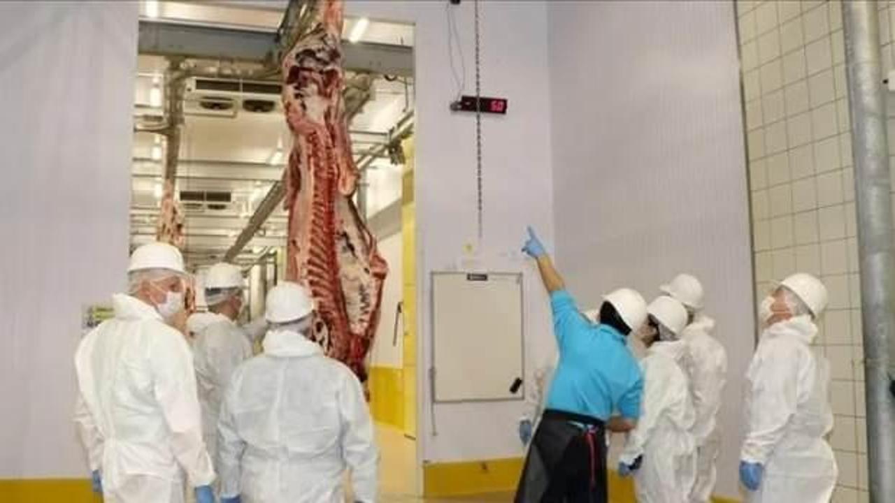 Kesimhanelere kamera zorunluluğu getiriliyor