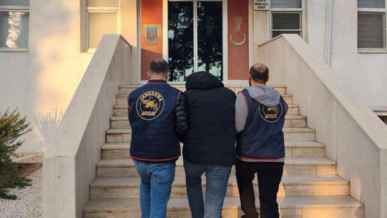 Mardin'de ilginç dolandırıcılık: Kargo kutusundan çıkan muz ile vurgun yaptı