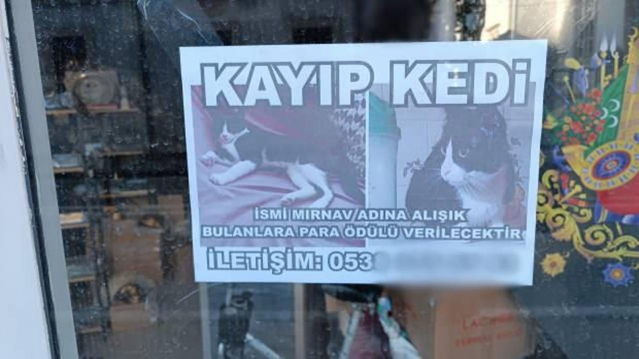 İlanı g&ouml;ren şaşıp kalıyor! 'Mırnav'ı bulana &ouml;d&uuml;l var