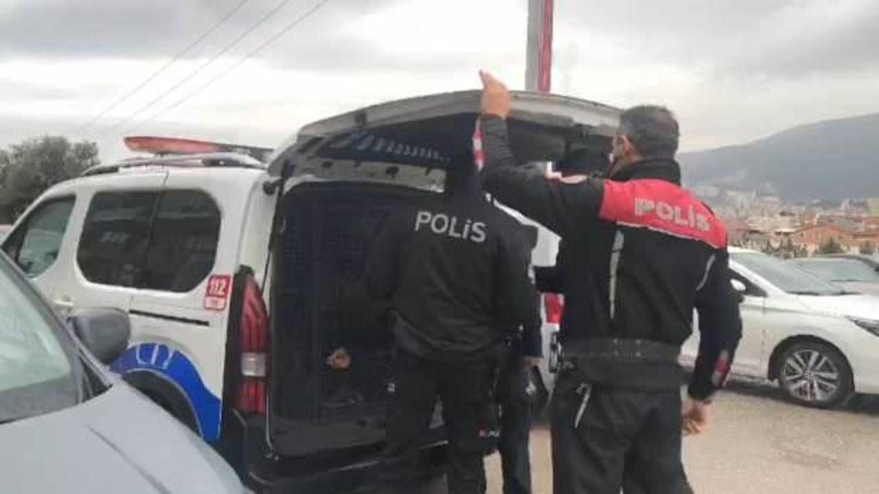 Taraftarların marketteki bı&ccedil;aklı kavgasında ş&uuml;pheli serbest kaldı