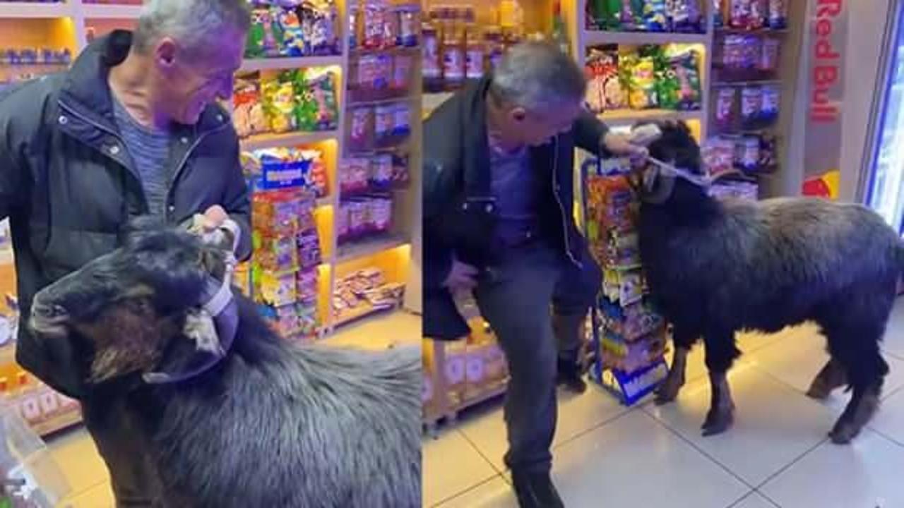 İlgin&ccedil; olayın adresi Trabzon: Ke&ccedil;i ile b&uuml;feye giren vatandaş zor anlar yaşadı 