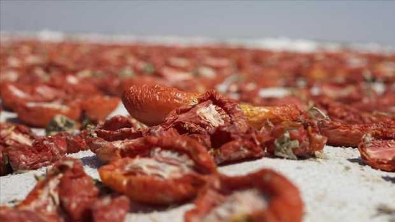 Kuru domates ihracatı 127 milyon doları aştı