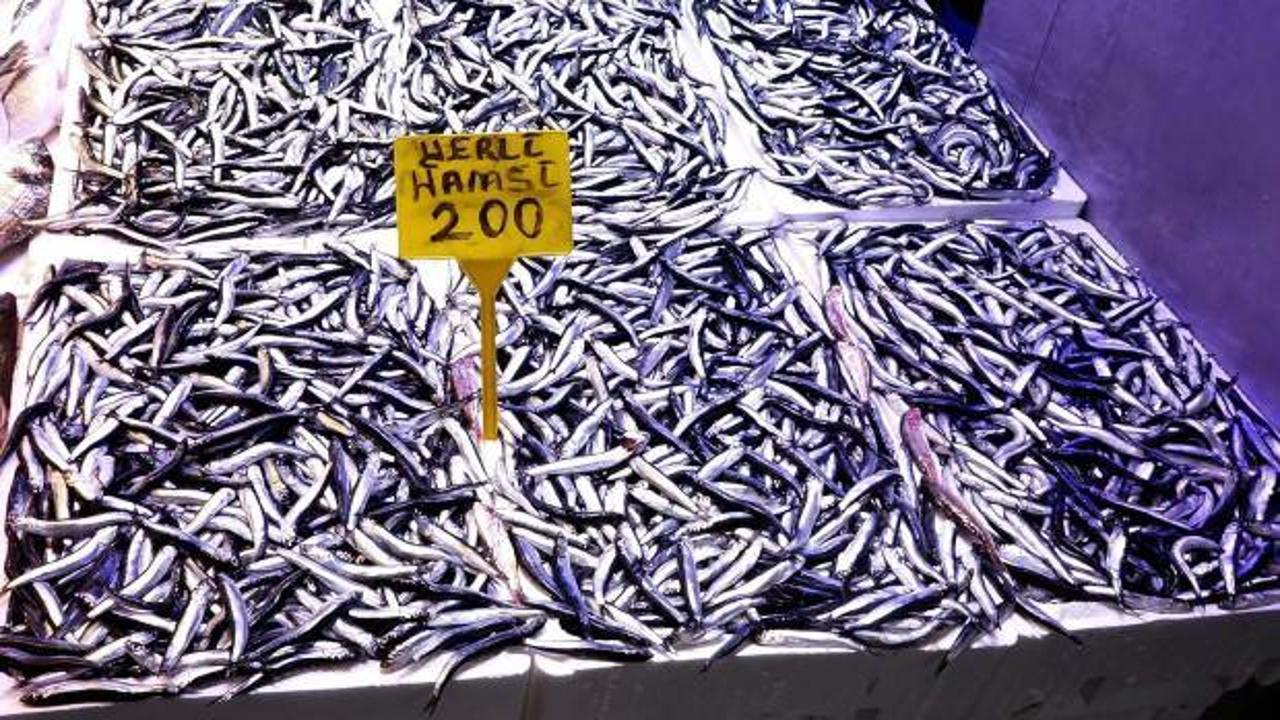 Balık tezgahlarında fiyatlar nasıl? 