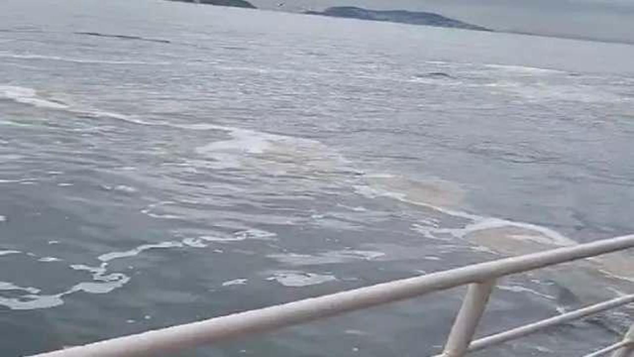 B&uuml;y&uuml;kada kıyılarında m&uuml;silaj g&ouml;r&uuml;ld&uuml;