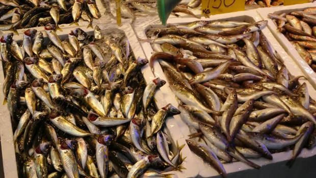 Hamsi avında d&uuml;ş&uuml;ş başlayınca fiyatlarda artış yaşandı