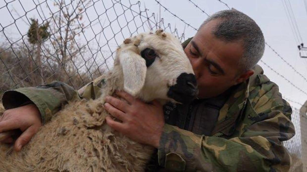 "Şehir hayatı a&ccedil;ık cezaevi gibi" dedi huzuru k&ouml;yde buldu
