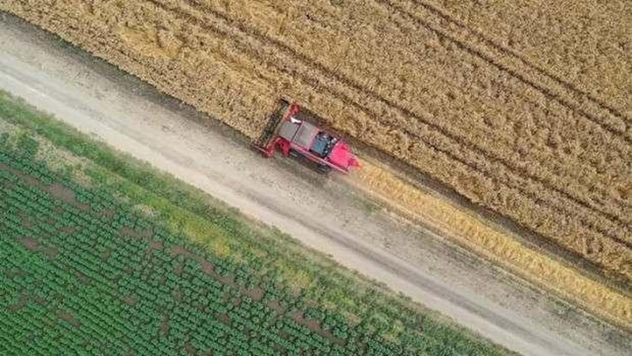 Tarımda &uuml;retici fiyatları 2024'te y&uuml;zde 37 arttı