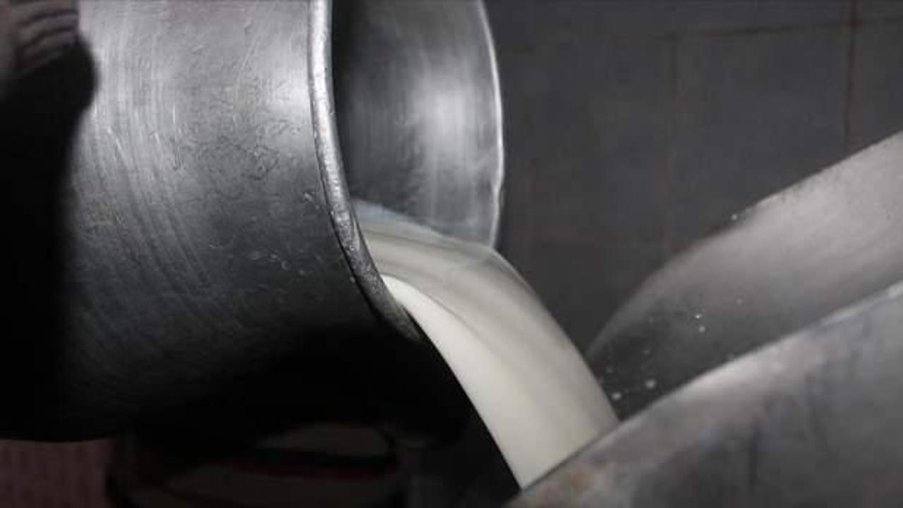 Toplanan inek sütü miktarı Kasım 2024'te yıllık bazda yüzde 10,6 arttı