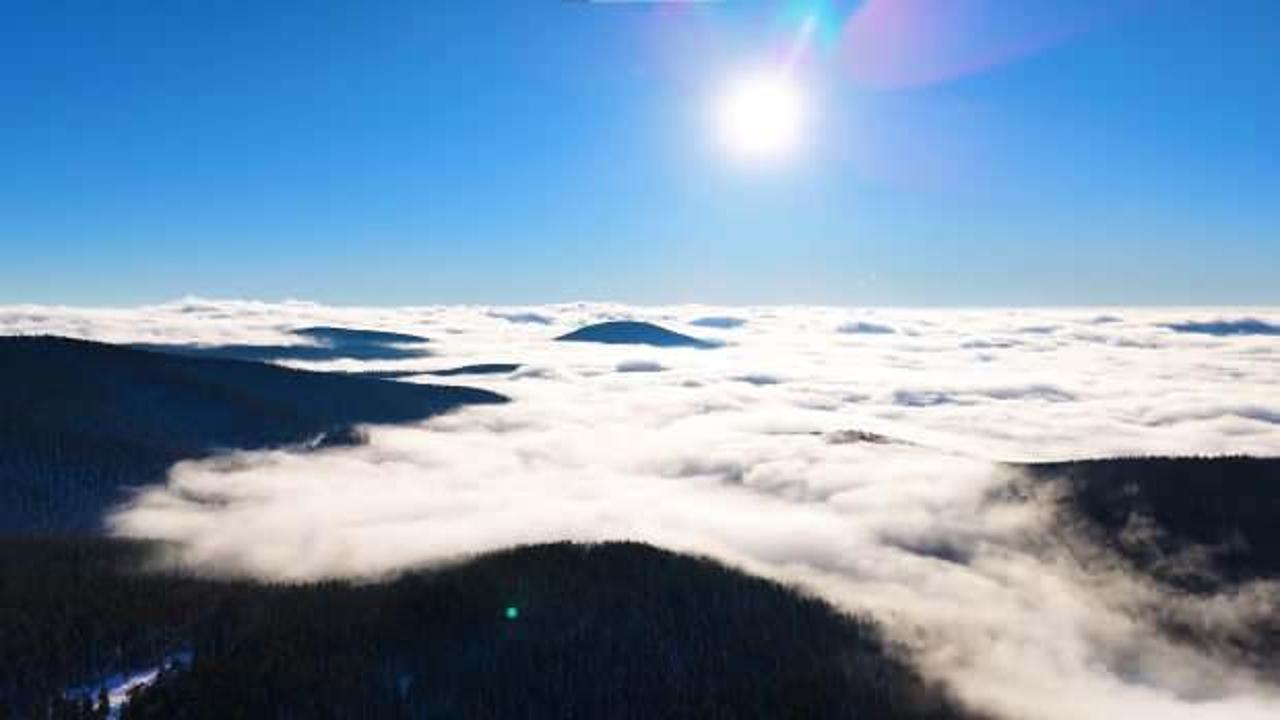 Ankara ormanlarında kış b&uuml;y&uuml;s&uuml;: Kar, sis ve yeşil buluştu