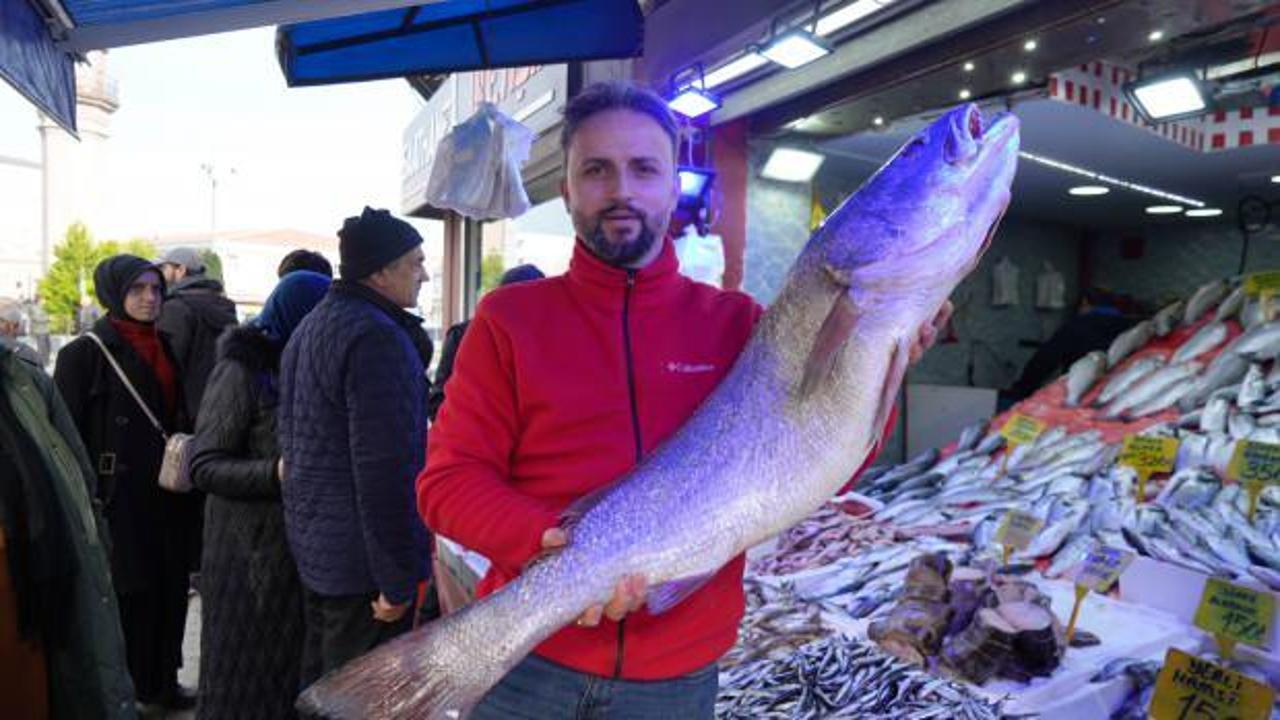 Balık değil dev sanki: Tanesi &ccedil;eyrek altından pahalı! 10 dakika i&ccedil;inde satıldı 
