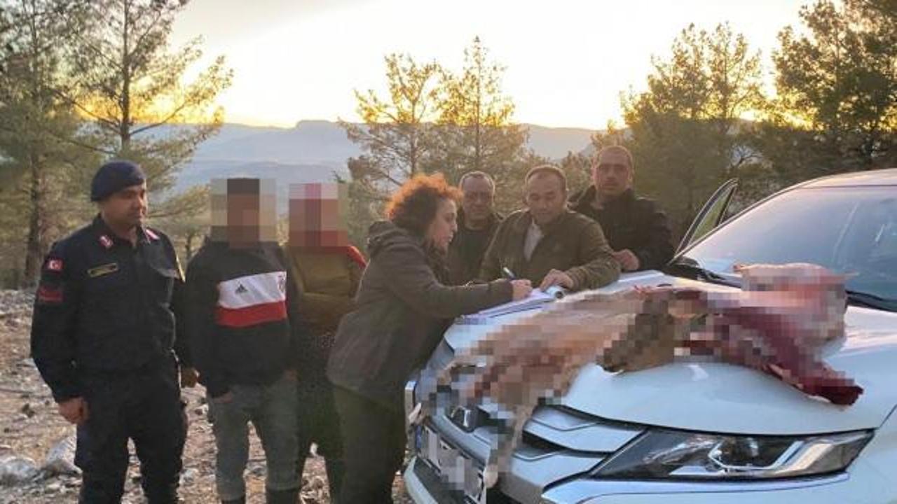 Bu g&ouml;r&uuml;nt&uuml;n&uuml;n bedeli &ccedil;ok ağır oldu! Avcılara dudak u&ccedil;uklatan ceza