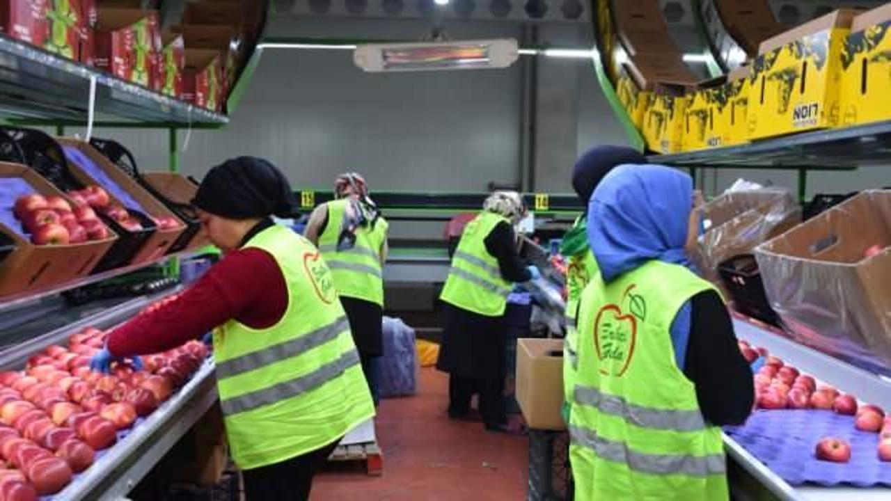 Devlet desteğiyle kurduğu tesisle 21 &uuml;lkeye ihracat yapıyor